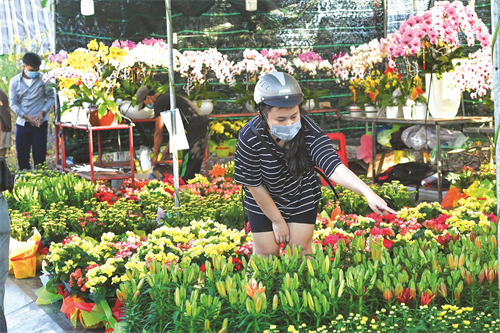 Phan Thiet organizes the Lunar New Year Market in 2023